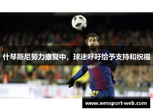什琴斯尼努力康复中，球迷呼吁给予支持和祝福