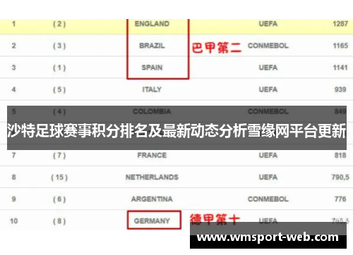 沙特足球赛事积分排名及最新动态分析雪缘网平台更新